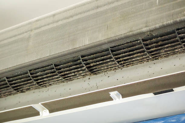 Best Dryer Vent Cleaning Services  in Middle River, MD